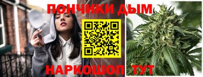 твердый Сланцы