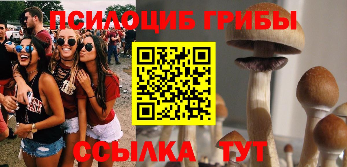 Пенза  Псилоцибиновые грибы GOLDEN TEACHER  Вход с VPN 