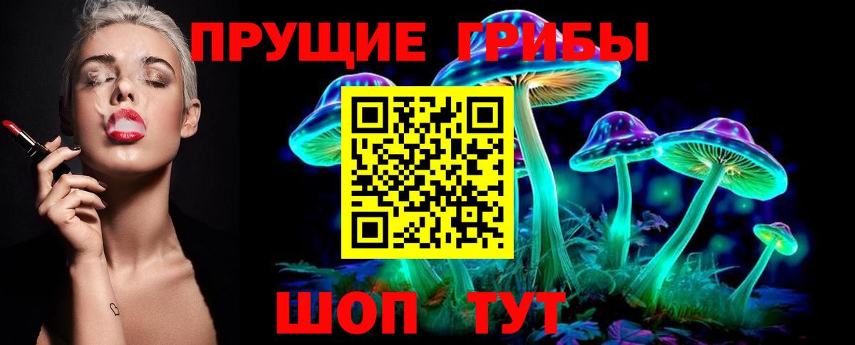 Псилоцибиновые грибы Psilocybine cubensis Пенза